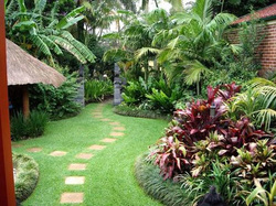 Bahamas Garden Path