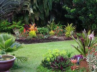 Bahamas Outdoor Plants