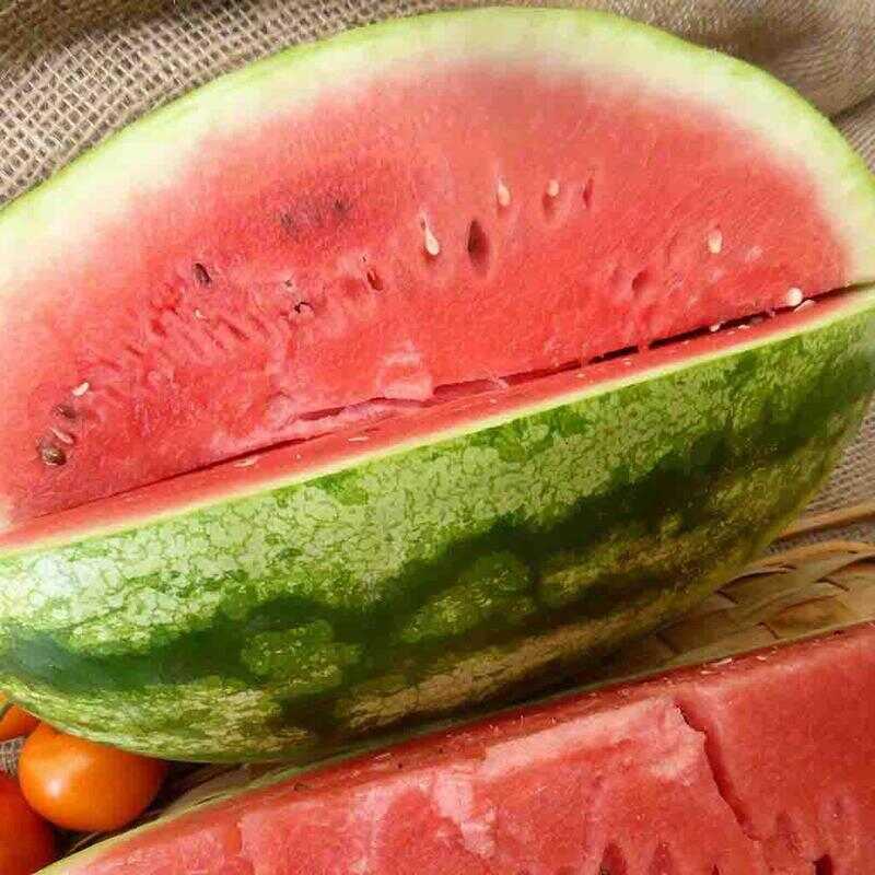 Crimson Sweet Watermelon Seeds - Fox Hill Nursery Supplies